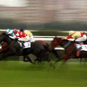 Why You Should Consider Horse Racing For A Day Out This Summer